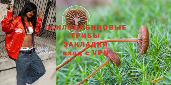 стаф Горнозаводск