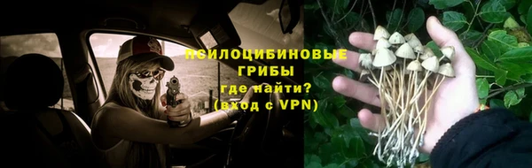 ALPHA PVP Горно-Алтайск