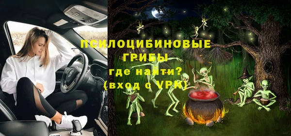 стаф Горнозаводск