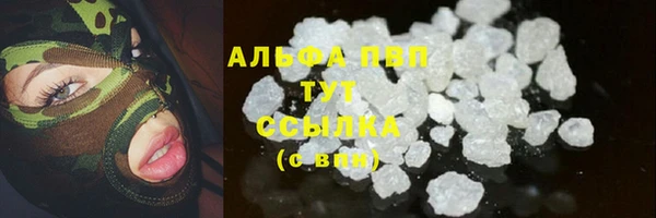 стаф Горнозаводск