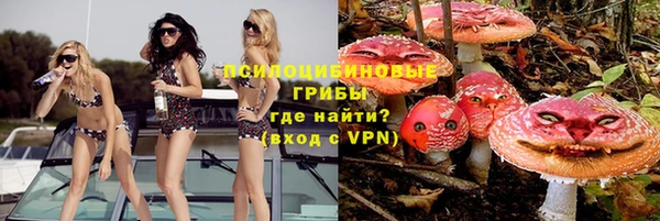 спайс Горняк