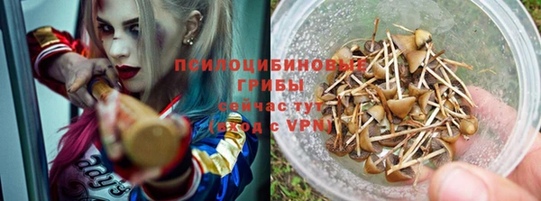стаф Горнозаводск