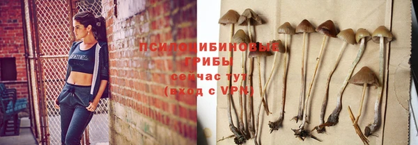 стаф Горнозаводск