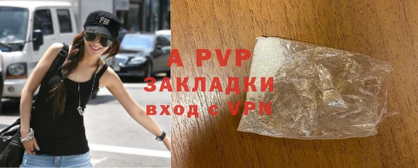 стаф Горнозаводск