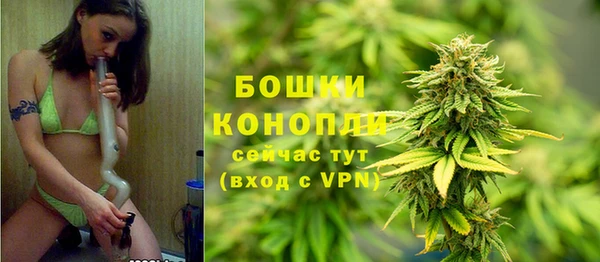 ALPHA PVP Горно-Алтайск