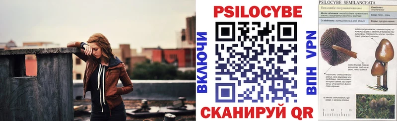 Псилоцибиновые грибы Psilocybe  Онега 